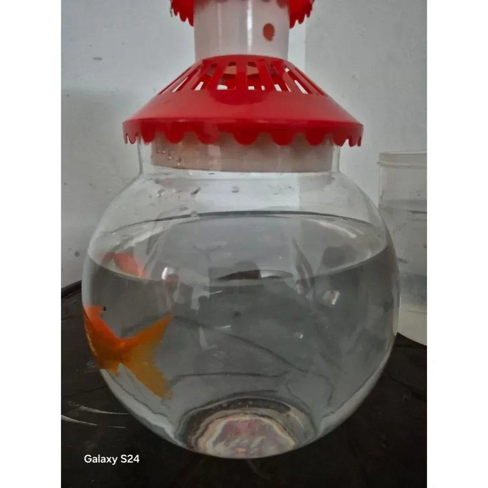 Elegant OvalShaped Glass Fish Bowl with Secure Red Cap Perfect for Home & Off